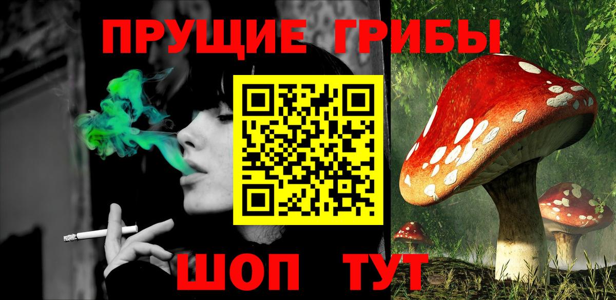 Галлюциногенные грибы GOLDEN TEACHER  Вход с VPN  Псилоцибиновые грибы Psilocybe  Луга 